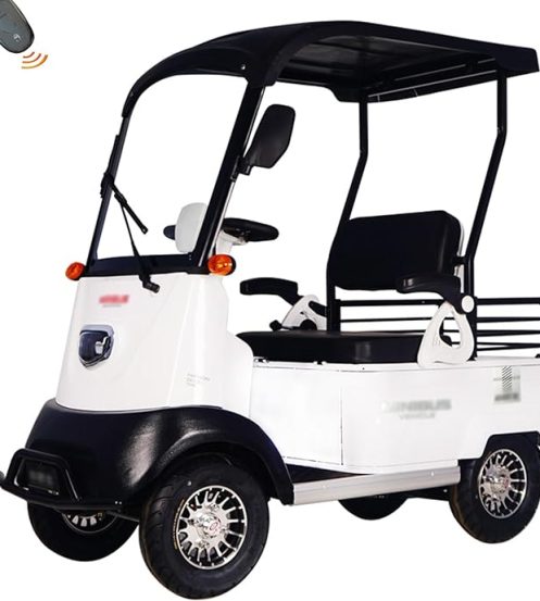 HAOWEIH Electric Golf Cart